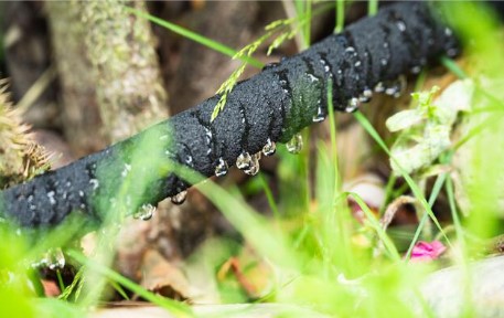 Solar Powered Automatic Watering System