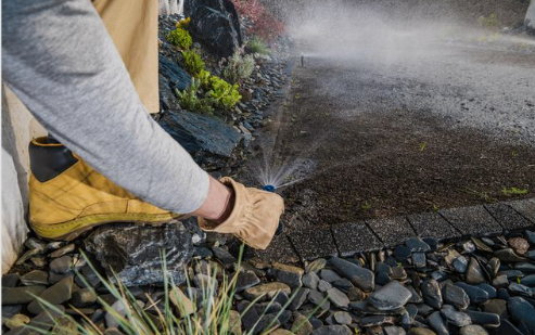 Gardener setting up automatic watering system
