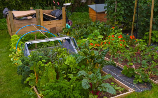 Sustainable Gardening_assisted by Solar Irrigation